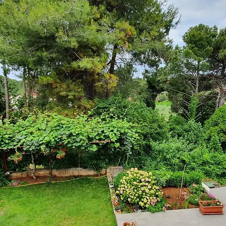 Juli No 2 Apartment Porec