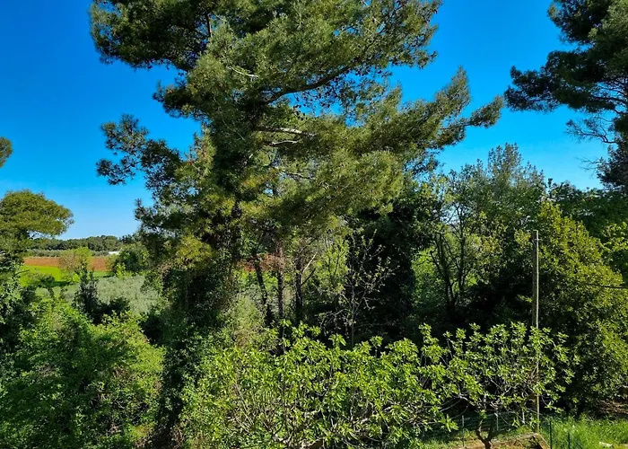 Juli No 2 Apartamento